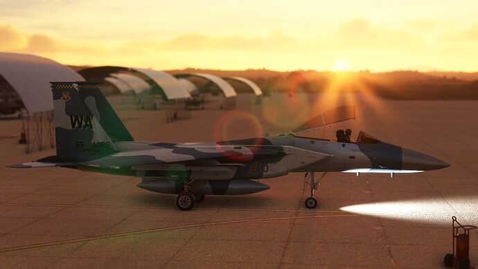 Microsoft Flight Simulator (113)