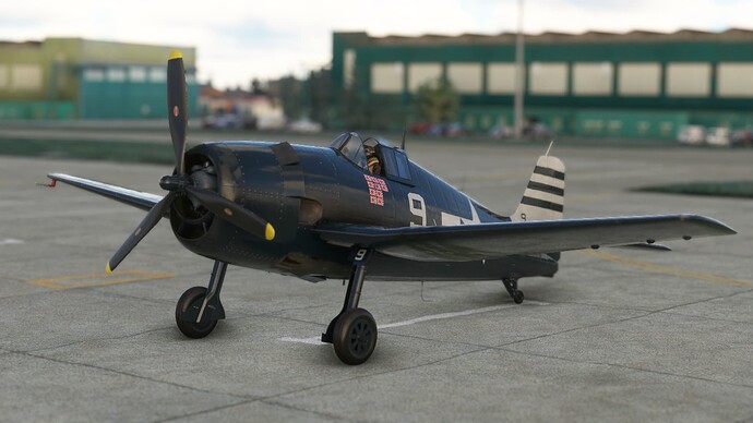 Microsoft Flight Simulator-2024_06_21-18-07-31