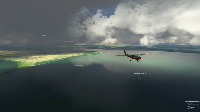 Microsoft Flight Simulator 8_2_2021 11_59_52 AM