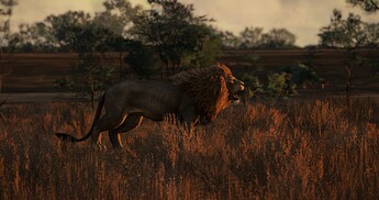 2025-01-05-13-42-54_ret