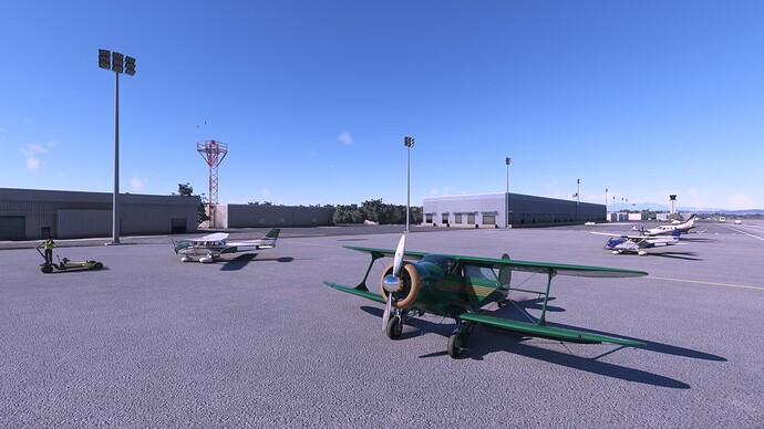 Microsoft Flight Simulator 3_7_2022 4_42_56 PM