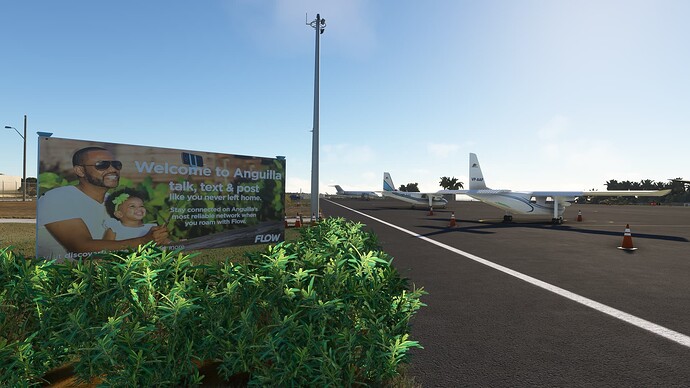 Microsoft Flight Simulator-2024_01_02-23-39-39