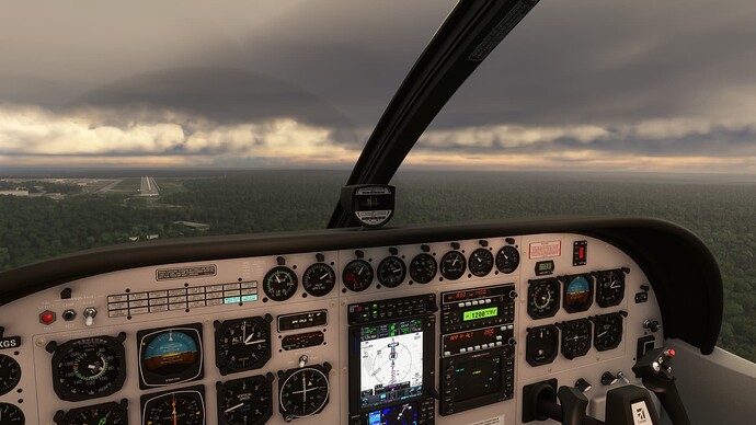 Microsoft Flight Simulator 1_7_2024 8_03_00 PM