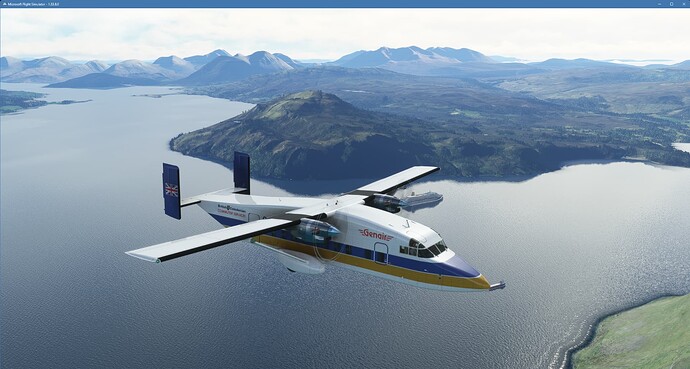 Microsoft Flight Simulator 28_08_2023 14_58_31 (Large)