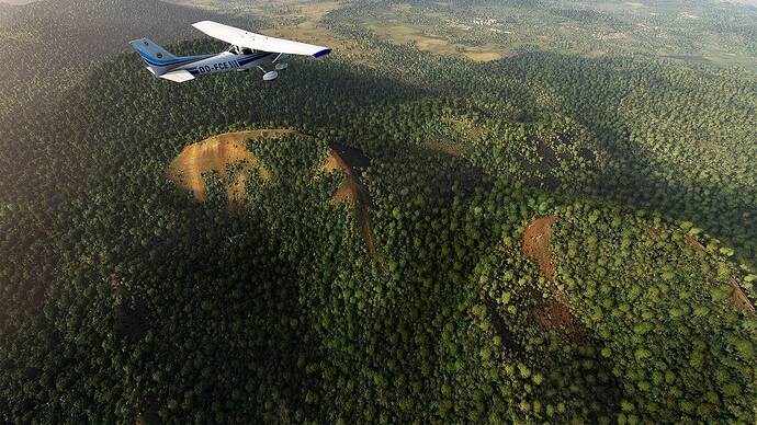 Microsoft Flight Simulator 2021-05-17 08_30_55