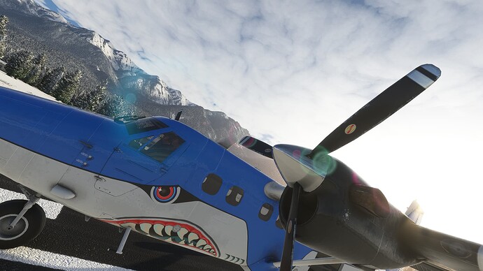 Microsoft Flight Simulator 20_01_2022 22_55_12