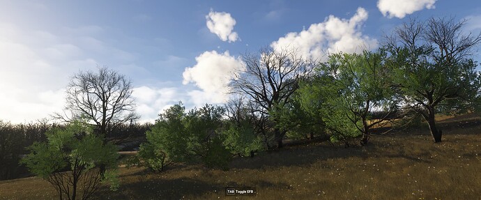 microsoft.limitless_8wekyb3d8bbwe Screenshot 2024.12.14 - 21.06.21.54