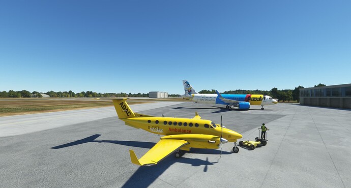 Microsoft Flight Simulator 10_18_2023 12_59_13 PM