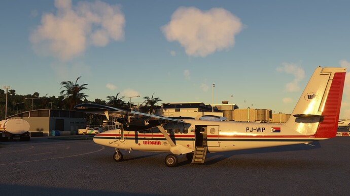 Microsoft Flight Simulator Screenshot 2022.02.13 - 10.01.54.96