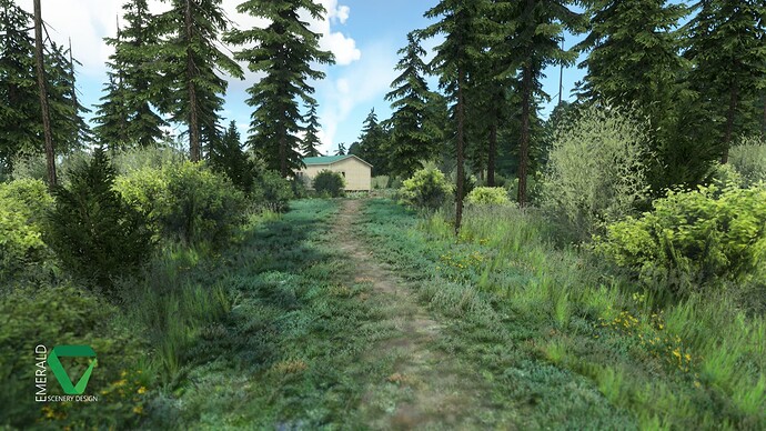 chunilna_cabin_strip_alaska_p2_3
