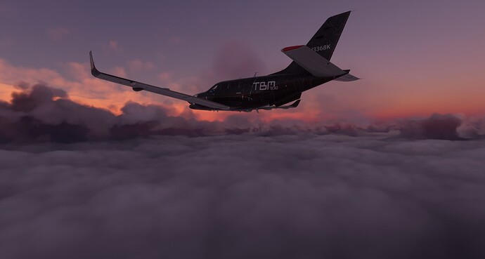 Microsoft Flight Simulator 10_7_2022 1_52_05 PM