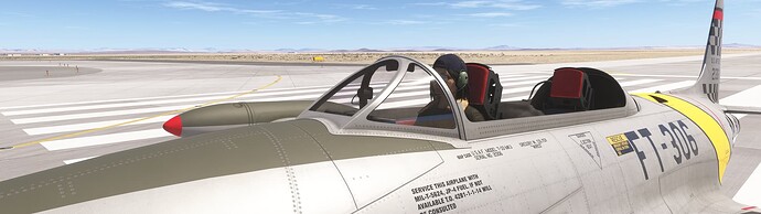 Microsoft Flight Simulator 2024 6_19_2025 2_44_43 PM
