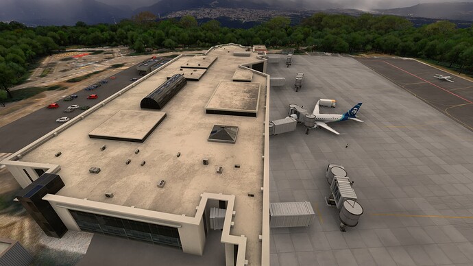 Bug - Palonegro (SKBG) Jetways