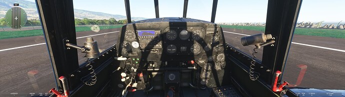 Microsoft Flight Simulator 2024 1_25_2025 2_09_30 PM