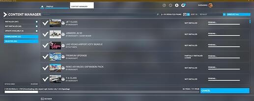 Microsoft Flight Simulator 1_7_2022 9_15_17 PM