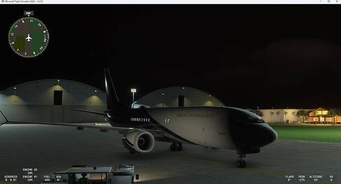 MSFS737bbj