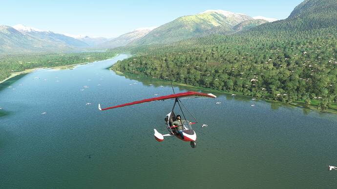 Microsoft Flight Simulator Screenshot 2021.08.22 - 11.32.55.64