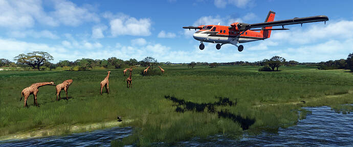 Okavango Delta_02