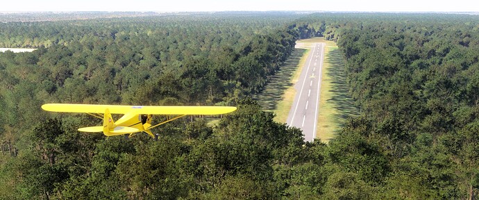 Cub Landing at Opa Locka West
