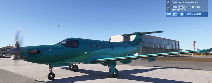 2024-12-05 01_03_07-Microsoft Flight Simulator 2024 - 1.1.10.0
