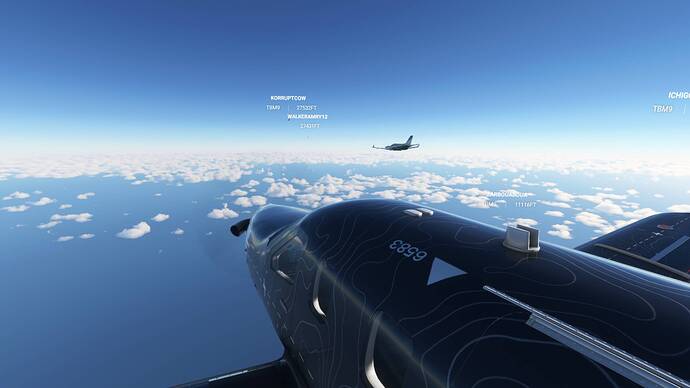 Microsoft Flight Simulator 8_8_2021 2_07_34 PM