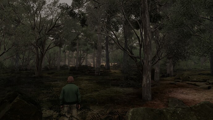 Mexico - Manuel Crescencio Rejon (MMMD) to Old Chichen Itzá Airport (MM74) 9