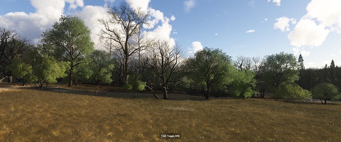 microsoft.limitless_8wekyb3d8bbwe Screenshot 2024.12.14 - 21.06.30.64