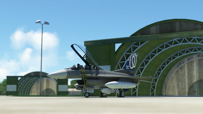 Microsoft Flight Simulator (434)