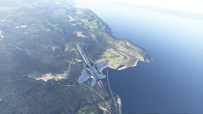 Microsoft Flight Simulator 2024 Screenshot 2025.01.31 - 00.40.28.73
