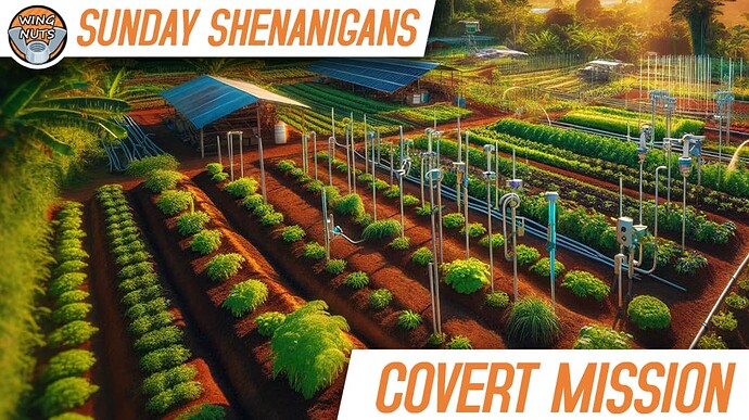 Wing Nuts Sunday - Jamaica