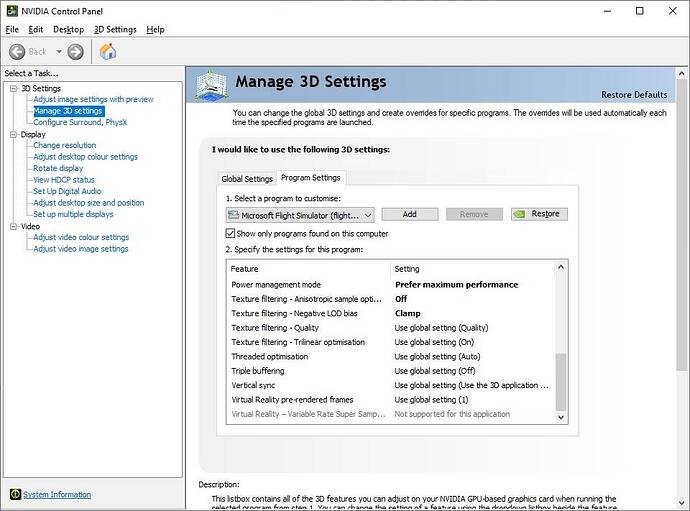 MSFS - Driver Settings 9