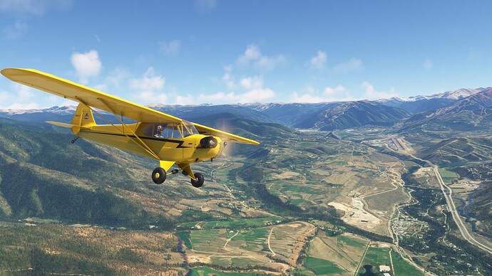 Microsoft Flight Simulator 6_16_2024 3_43_19 PM