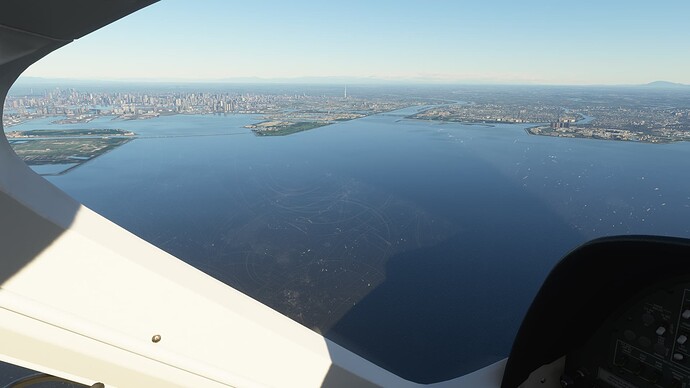 Microsoft Flight Simulator 10_30_2020 15_08_31