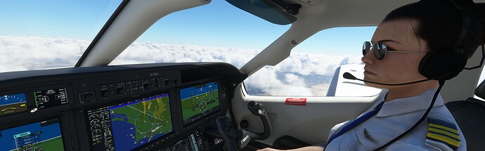 Co-Pilots Nnew shades