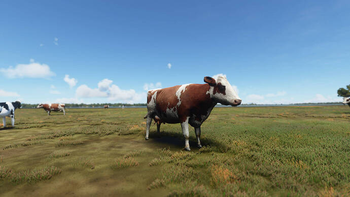 fantasy-of-flight_msfs_7