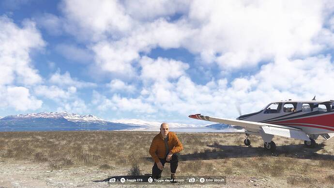 Microsoft Flight Simulator 2024-2026_03_01-18_13_22