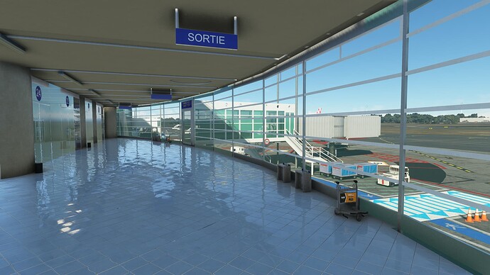 Microsoft Flight Simulator-2023_11_03-01-44-32