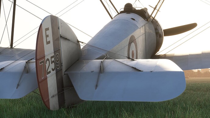 54695875740_811b8d067c_k