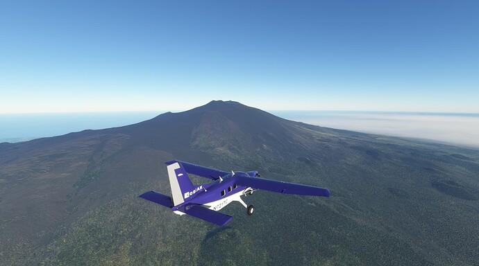 Microsoft Flight Simulator 7_3_2022 1_05_27 PM