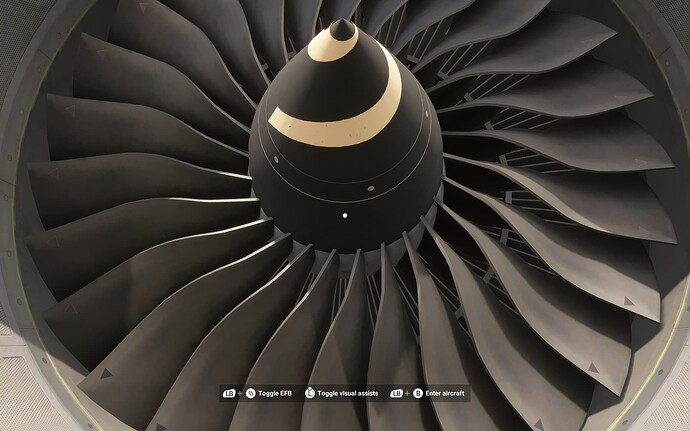 Microsoft Flight Simulator 2024 Screenshot 2025.06.10 - 16.50.27.64