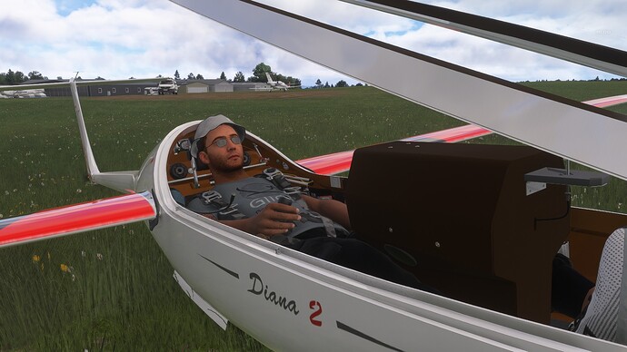 Pilot