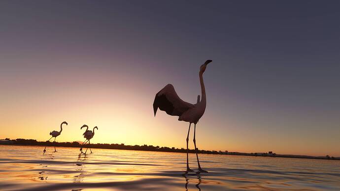 Microsoft Flight Simulator Screenshot 2021.08.22 - 01.41.40.25