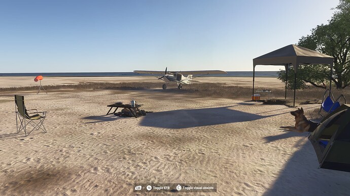 Microsoft Flight Simulator 2024 2025-06-30 6_45_23 PM
