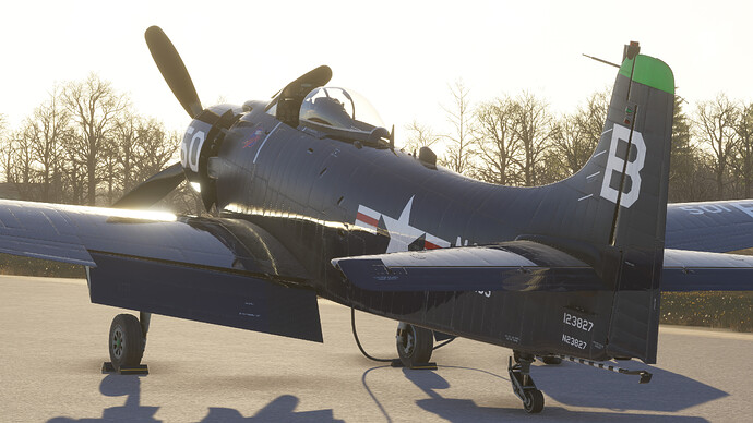 55002552107_86361b7f0a_4k