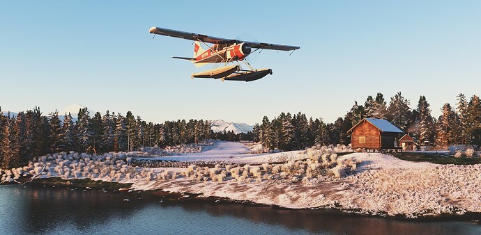 Beaver around 25Mile Lake