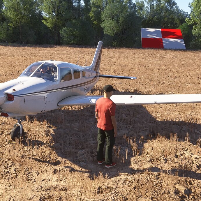 Microsoft Flight Simulator 2024 Screenshot 2025.07.11 - 18.32.25.50_Snapseed