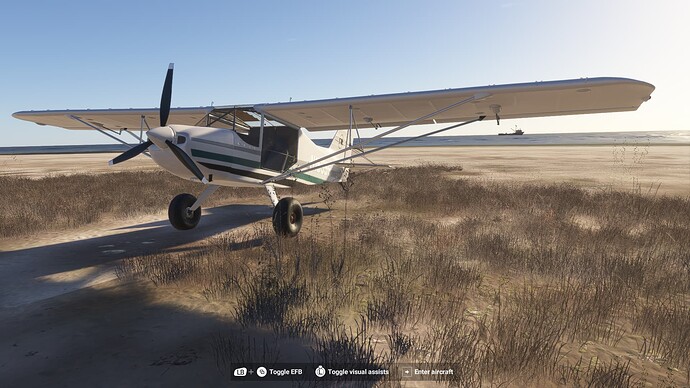 Microsoft Flight Simulator 2024 2025-06-30 6_46_08 PM