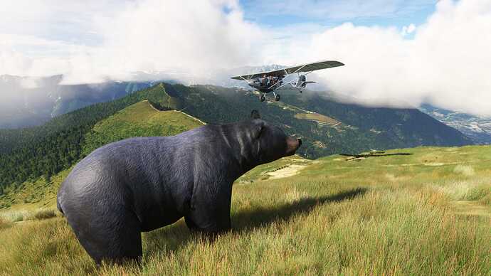 tfox-adige-river-tour2