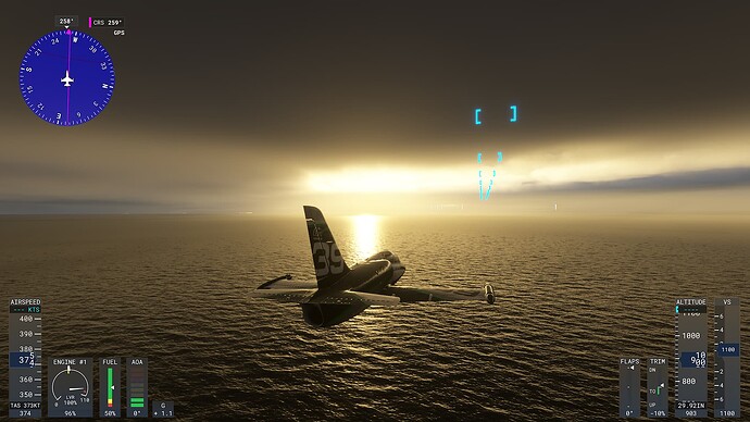 Microsoft Flight Simulator 2024-2024_12_30-20_59_29