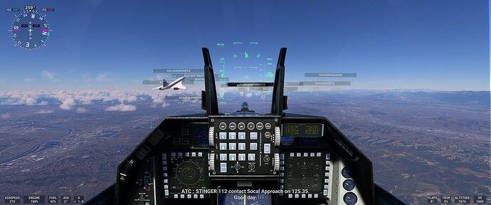 Microsoft Flight Simulator 4_17_2022 10_46_46 PM